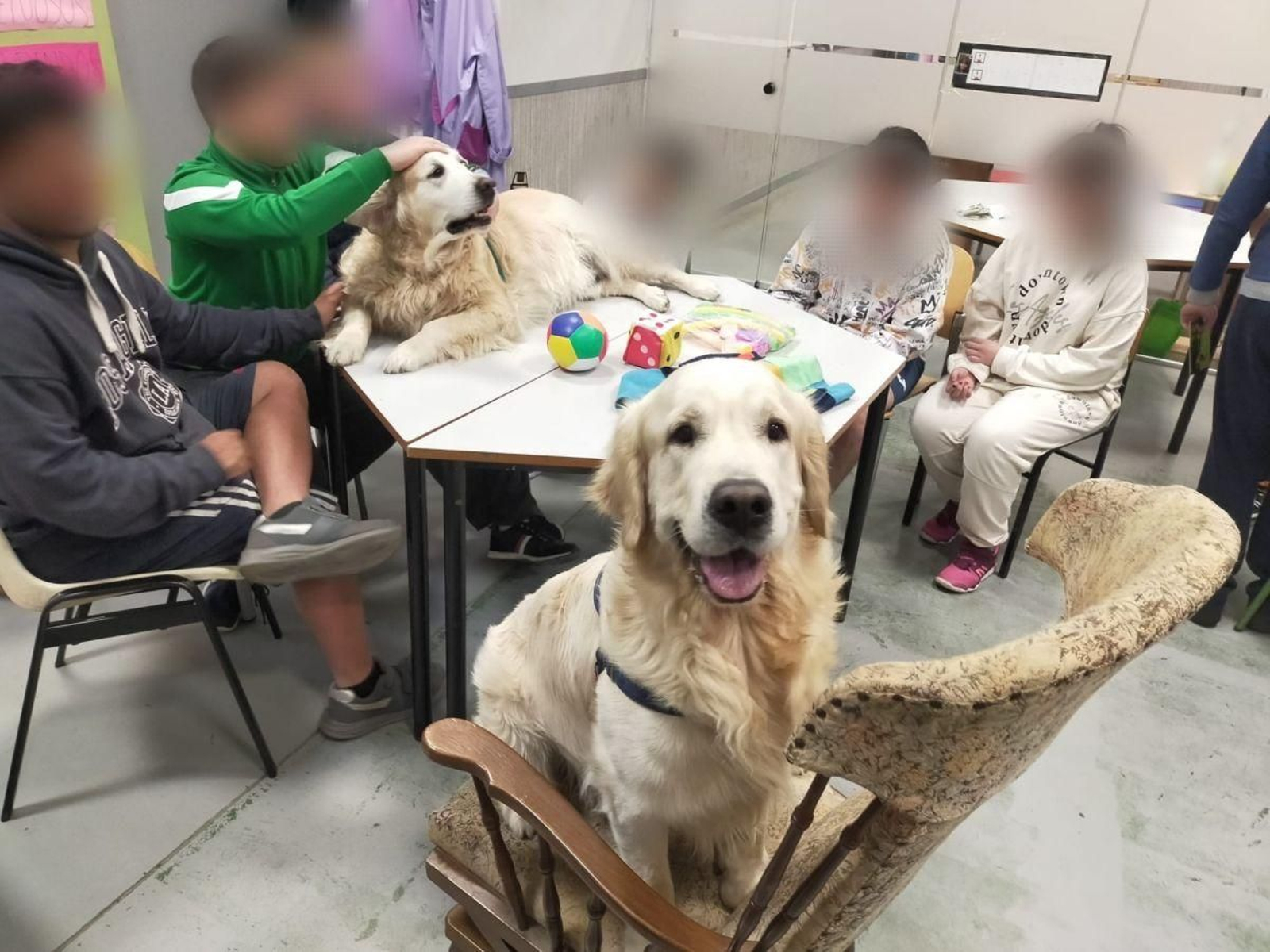 ‘Terapia cuatro patas’ para niños con discapacidad intelectual, en Aceesca.