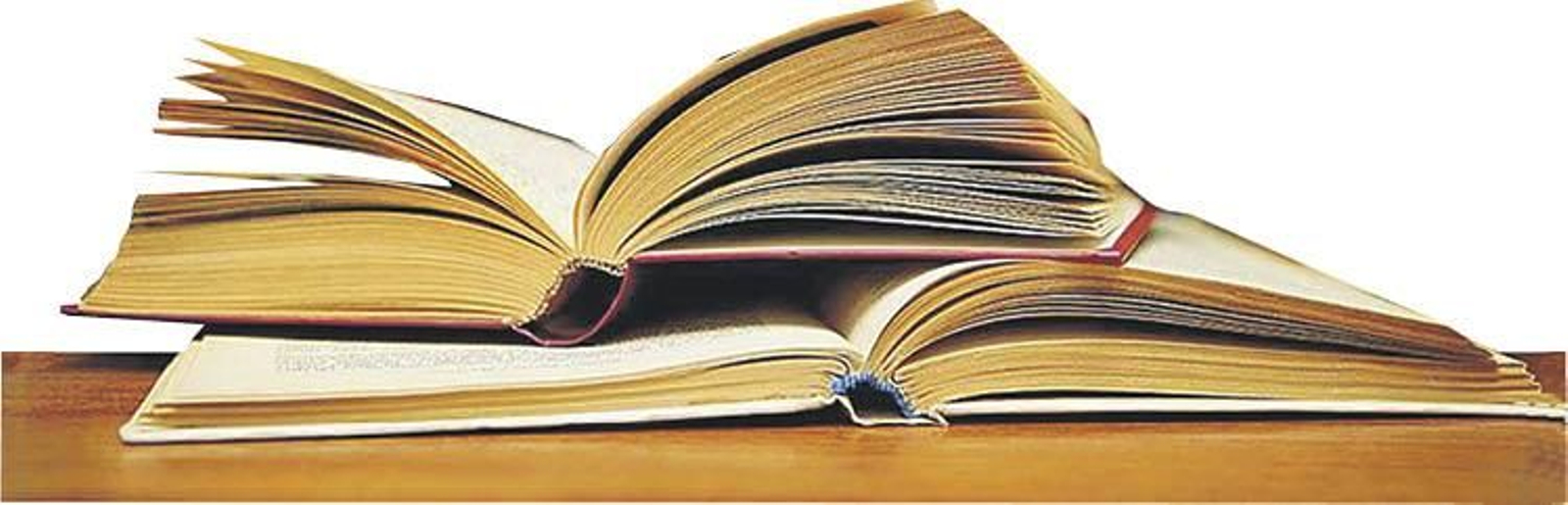 Los libros en formato papel siguen siendo el mejor aliado de la cultura.